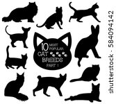 Cat Breeds Set. Cats Icons. Cat ...