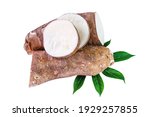 cassava tubers fresh on leaves isolated white, pile cassava manioc in top view, yucca root for flour products, raw materials for tapioca starch industry, tubers tapioca or manioc root, rhizomes manioc