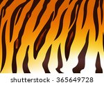 detail of tiger skin pattern | Shutterstock .eps vector #365649728