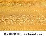 Golden glossy texture. Metal pattern. Golden texture of snake scales. Abstract gold background
