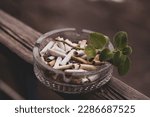 Small photo of Concept photo symbolizing detrimental to health and the environmental. Close up glass ashtray with cigarette butts and green sprout. Concept of ecology pollution and garbage in the nature.