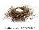 bird nest with two eggs isolated on white background