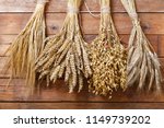 Ears Of Wheat  Rye  Barley And...