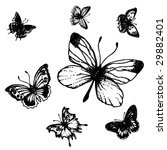 seven black butterflies on... | Shutterstock .eps vector #29882401