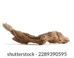 Various textured pieces of driftwood on white background. Isolated. Cutout. 