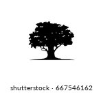 oak tree and leaf logo template | Shutterstock .eps vector #667546162