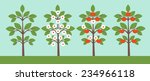 different trees collection four ... | Shutterstock .eps vector #234966118