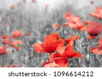 The remembrance poppy was inspired by the World War I poem 