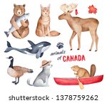 "animals Of Canada" Watercolor...