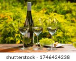 Quality wine tasting on winery in Mosel wine redion in Germany, three glasses and one bottle of riesling white wine served outdoor in garden in sunny day