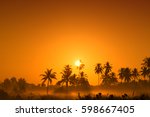 Silhouette Of Coconut Trees...