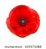 Red Poppy Flower Isolated On...
