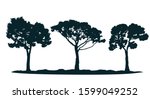 mediterranean trees silhouettes ... | Shutterstock .eps vector #1599049252