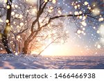 Christmas background. Magic glowing snowflakes in winter nature landscape. Beautiful winter scene with bokeh. Winter fairytale. Illuminated lights shine tree