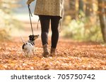 Woman Goes With A Dog Walking...