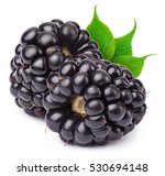 Group Of Two Ripe Blackberries...