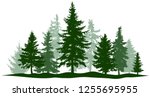 green forest evergreen pine ... | Shutterstock .eps vector #1255695955
