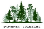 evergreen forest pine  tree... | Shutterstock .eps vector #1302862258