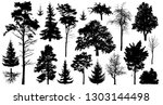 set of a variety of forest... | Shutterstock .eps vector #1303144498