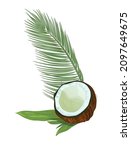 split coconut  half of nut  on... | Shutterstock .eps vector #2097649675