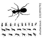 Ant Silhouette Free Stock Photo - Public Domain Pictures