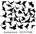 vector  isolated  silhouettes... | Shutterstock .eps vector #551747188