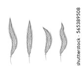 set of feathers are hand drawn... | Shutterstock .eps vector #565389508