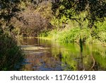 Small photo of River Isma in the Borovsky District, Kaluzhskiy Region, Russia