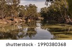 Small photo of Reflections in the calm Murrumbidgee River - Yanga National Park, Balranald, NSW