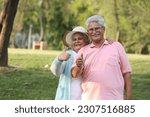Small photo of Indian happy senior couple showing thumb in garden and looking in front of camera
