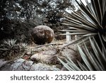 Small photo of Huge and heavy round stone symbolizing unsteady balance, overgrown with moss, laying on the ground in a tropical setting of a rainforest park or a botanical garden; group of succulents in a foreground