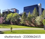 Small photo of University of Alberta mechanical engineering building on a sunny day