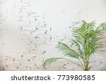 White brick wall with coconut palm leaf ?Background.