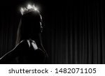 Small photo of Portrait of Miss Pageant Beauty Contest in sequin Evening Ball Gown long dress with sparkle light Diamond Crown, silhouette low key exposure with curtain, studio lighting dark background dramatic