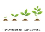  infographic of planting tree.... | Shutterstock .eps vector #604839458