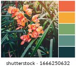 Orange and green colours. Vibrant color swatch. Summer flowers color palette.