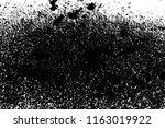 abstract background. monochrome ... | Shutterstock . vector #1163019922