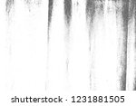 abstract background. monochrome ... | Shutterstock . vector #1231881505