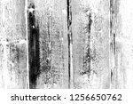 abstract background. monochrome ... | Shutterstock . vector #1256650762