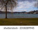 Small photo of Hark Lucerne lake in autumn