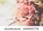 Rose Vintage Background 