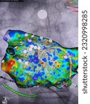 Small photo of carto anatomical mapping left atrial fibrillation