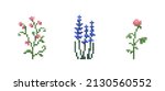 Set Of Pixel Art Flowers....