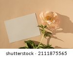 Blank paper card with copy...
