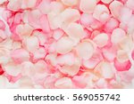 Pink rose petals. Valentine's day background. Flat lay, top view