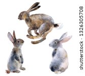Set Three Hares  Watercolor