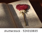 Dry Rose In An Open Book ...