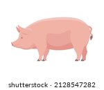 Big Fat Pig. Vector...