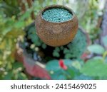 Small photo of In the picture is a small jar full of water. A jar full of small green aquatic plants. The lower jar is a blurred image of a wide-mouthed water jar used to raise small fish such as colorful guppies