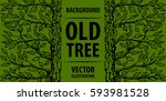 background old tree. green tree ... | Shutterstock .eps vector #593981528